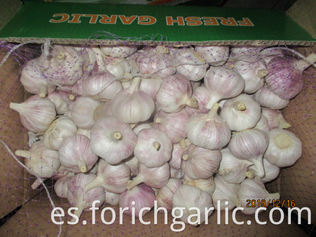 How To Save Garlic Bulbs